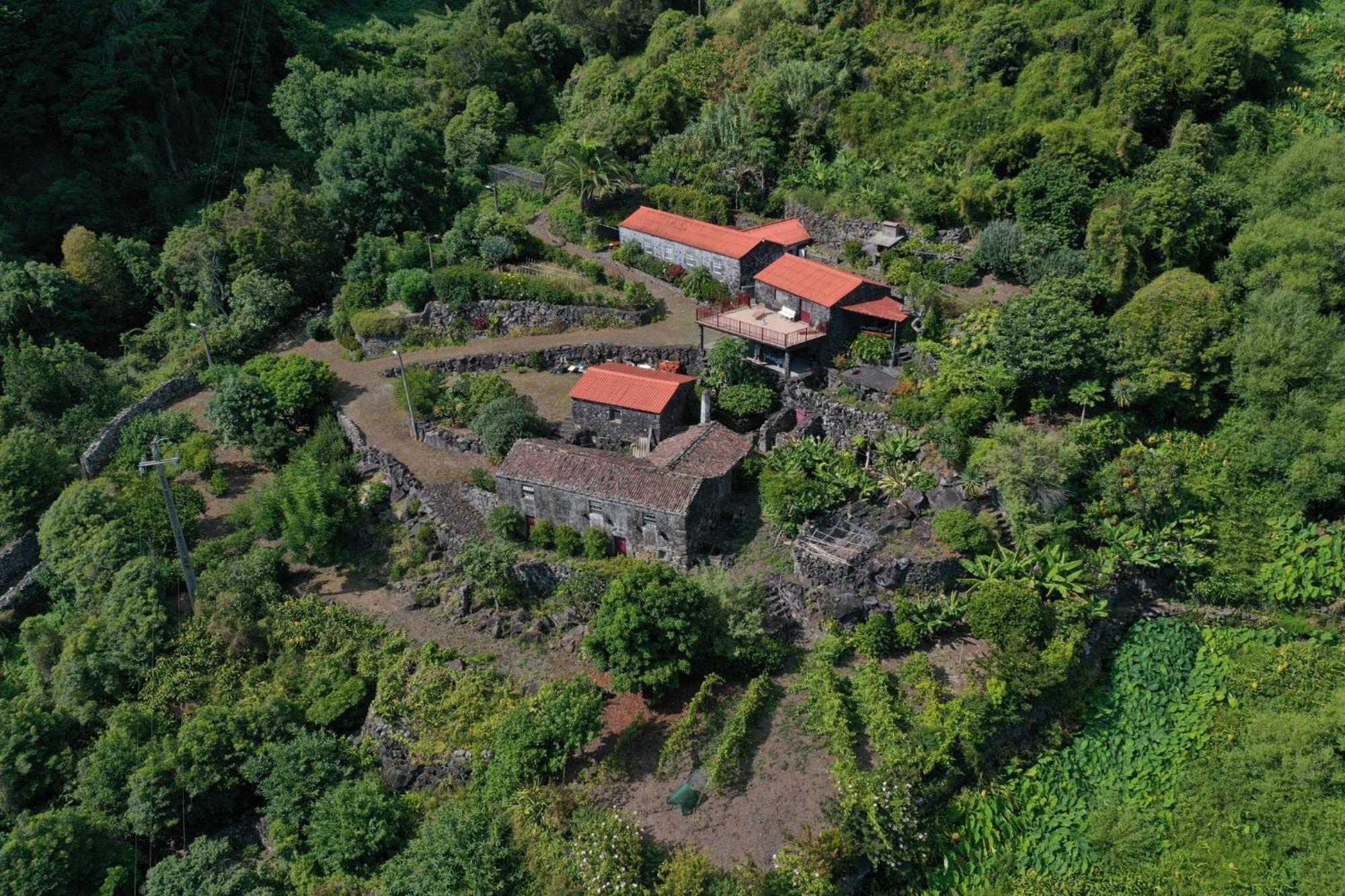 Vistalinda Farmhouse Faja dos Vimes Esterno foto
